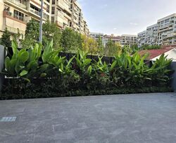 Loyang Besar Close (D17), Terrace #579158681